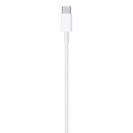 Apple USB-C to Lightning Charge and Sync Cable (1m) - Image 3